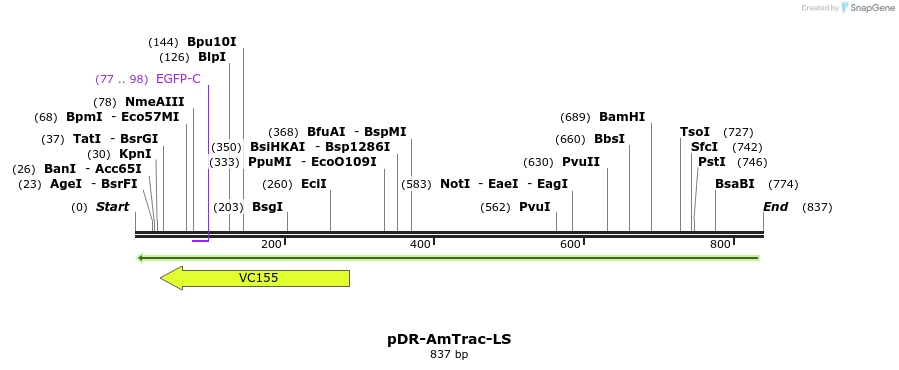 71087_map