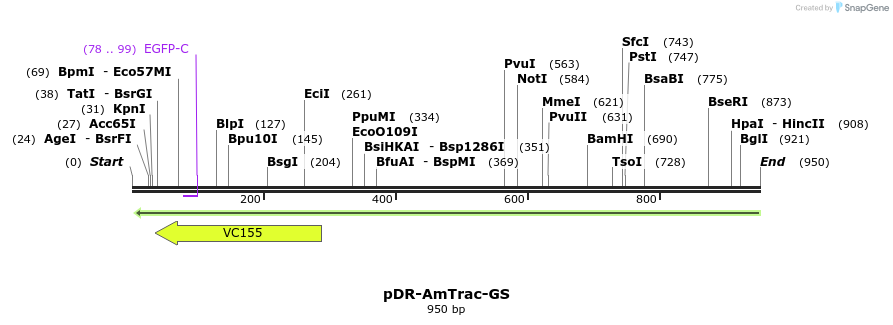 71088_map