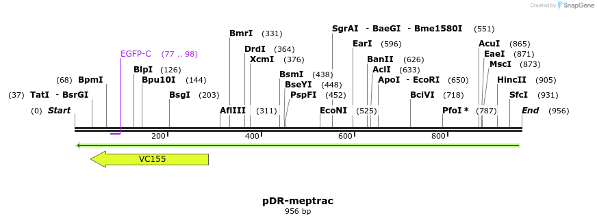 71090_map