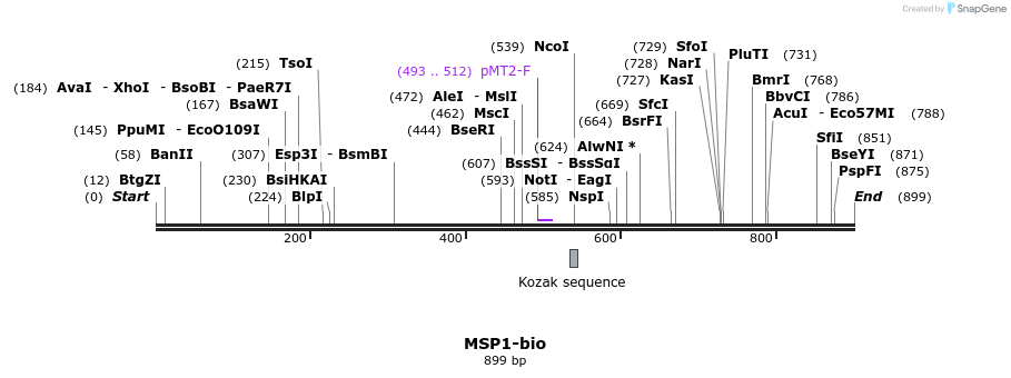 71097_map