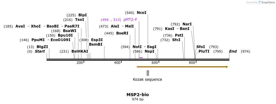 71098_map