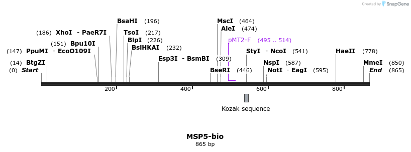 71102_map
