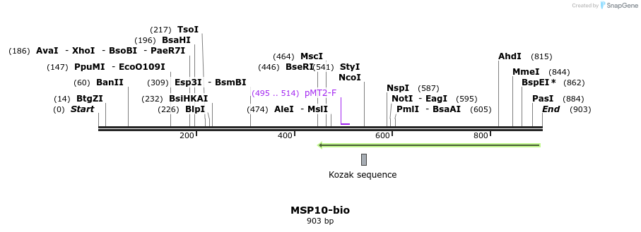 71104_map
