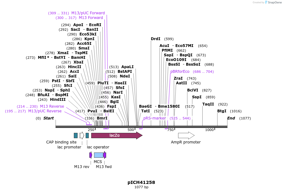 71107_map