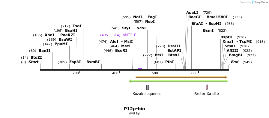 71111_map