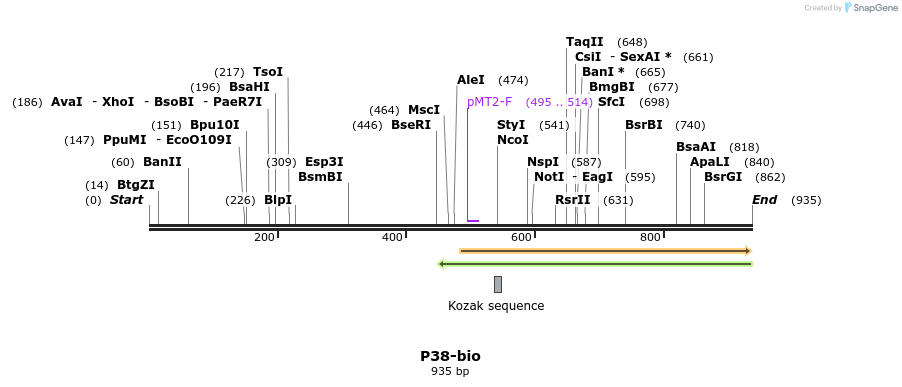 71112_map