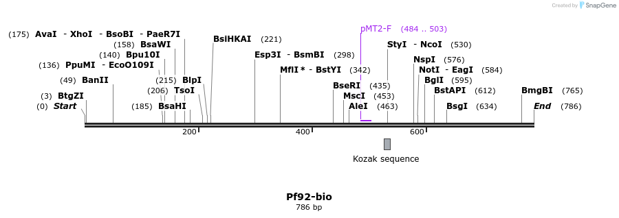 71113_map