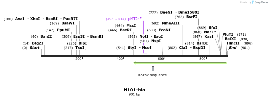 71120_map