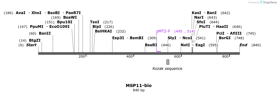 71121_map