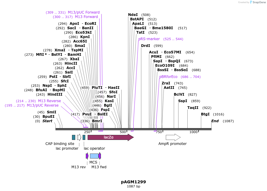 71127_map