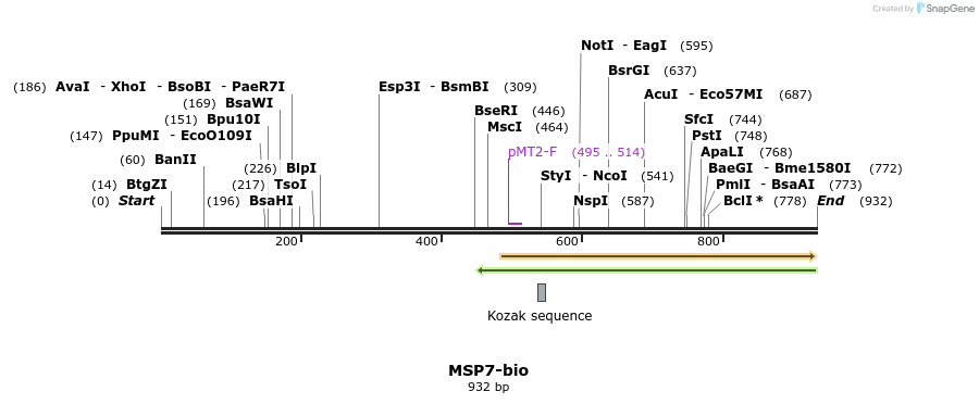 71136_map