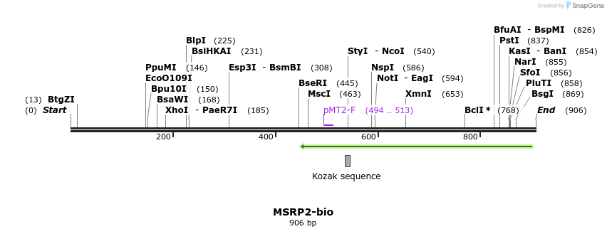 71137_map