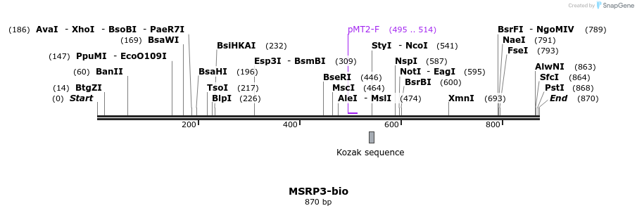 71138_map