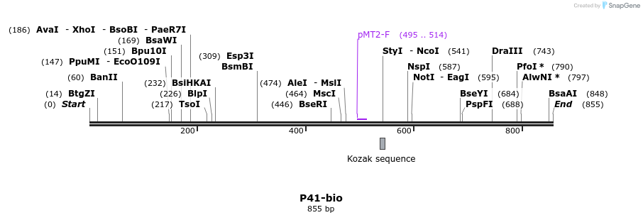71139_map