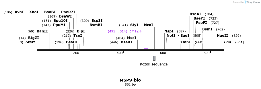 71141_map