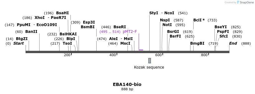 71144_map