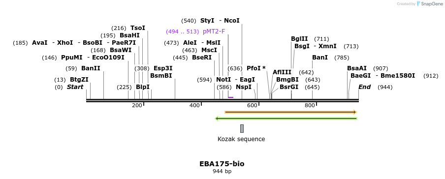 71145_map