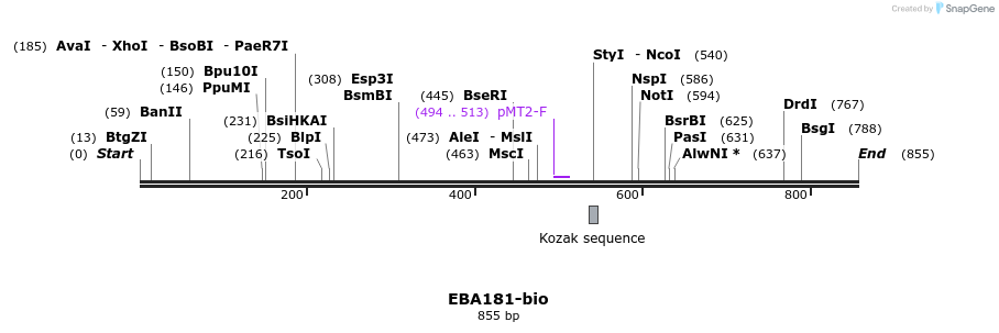 71146_map