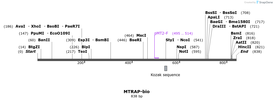 71148_map