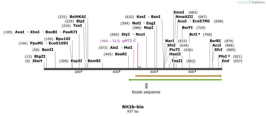 71151_map