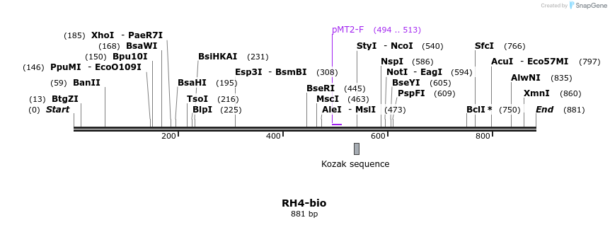 71152_map