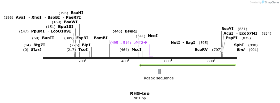 71153_map