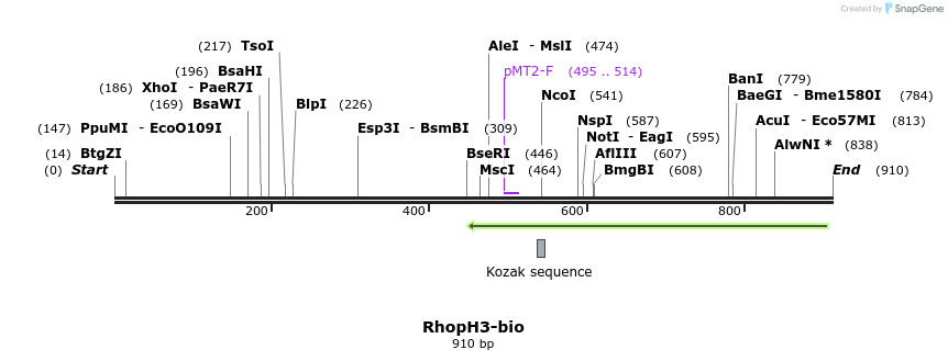 71154_map