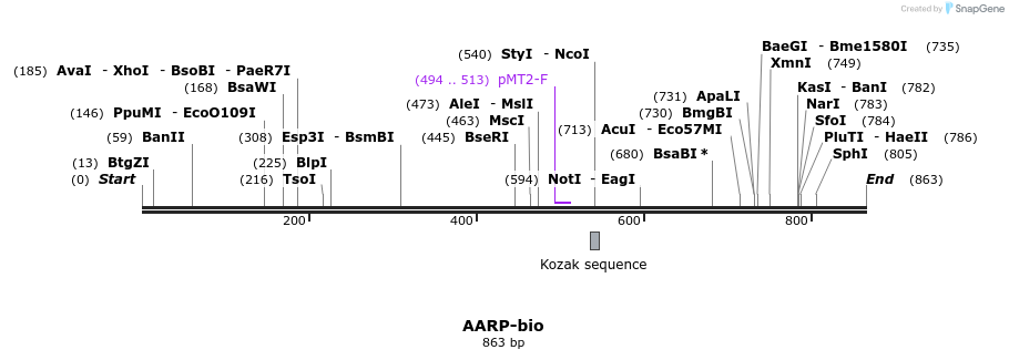 71156_map