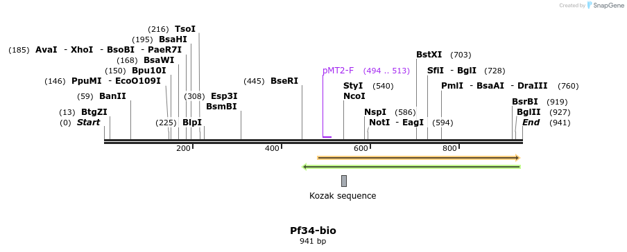 71157_map