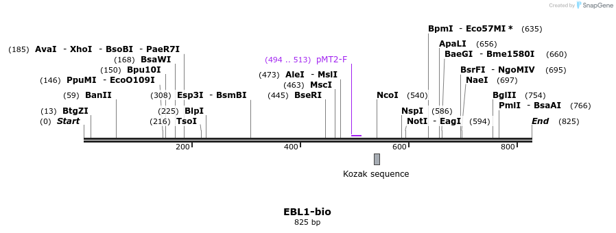 71171_map