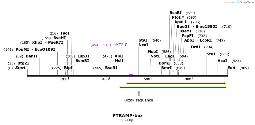 71172_map