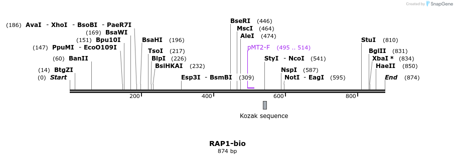 71175_map