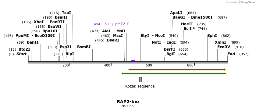 71176_map