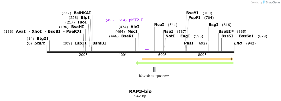 71177_map
