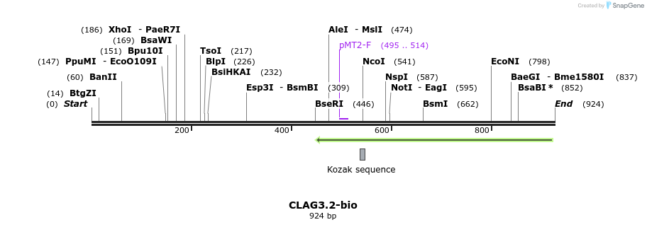 71178_map