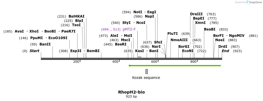 71180_map