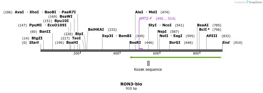 71182_map