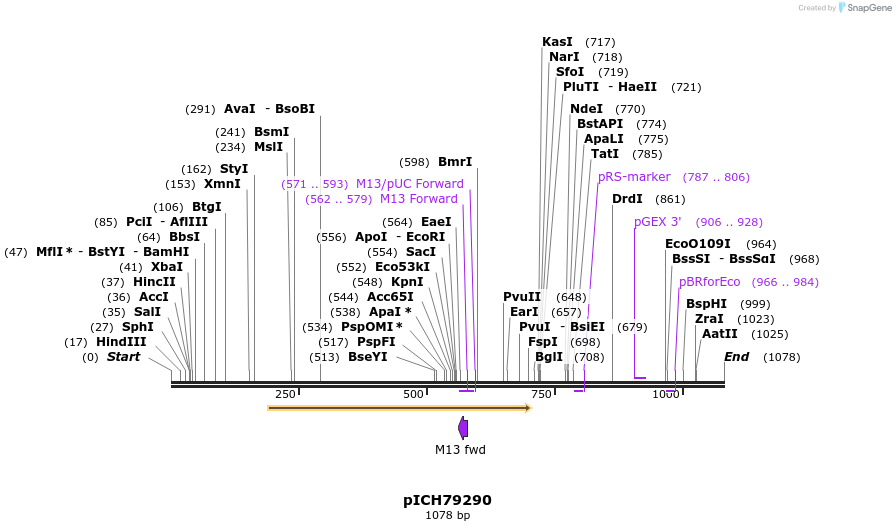 71190_map