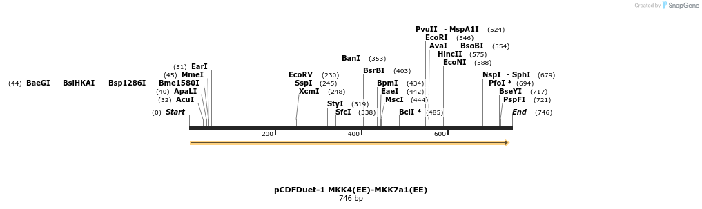 71193_map