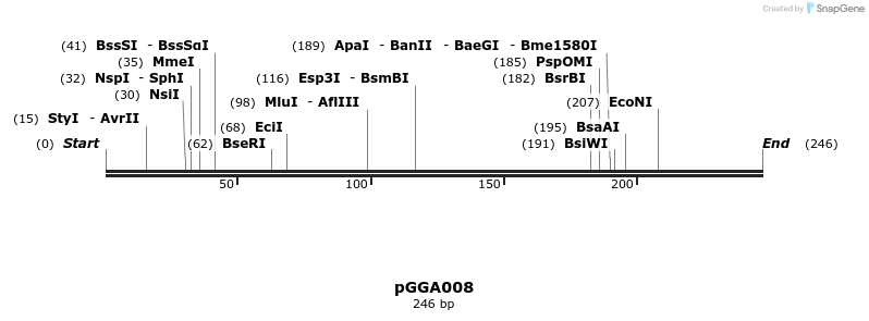 71203_map