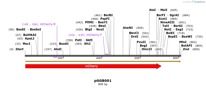 71207_map