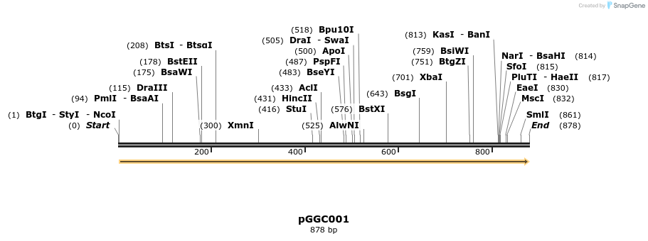 71217_map