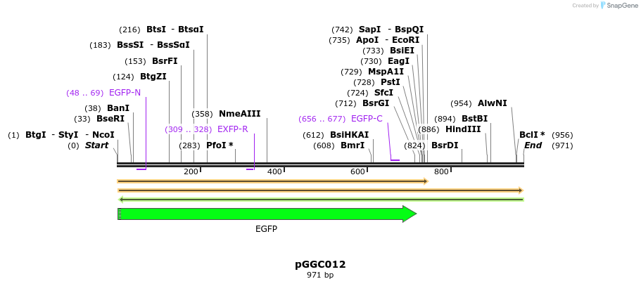 71221_map