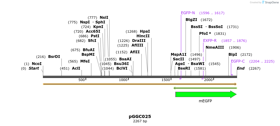 71229_map