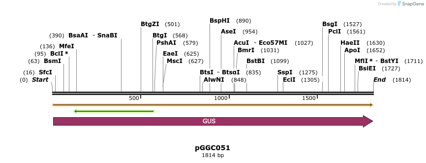 71233_map