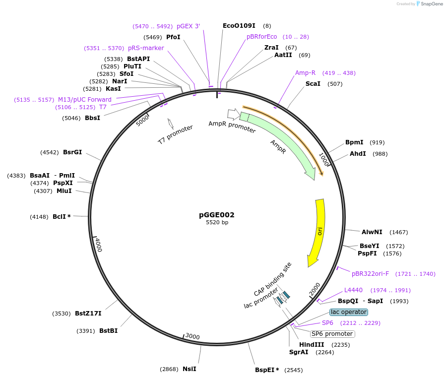 48840-plasmid-map-sequence-id-71248