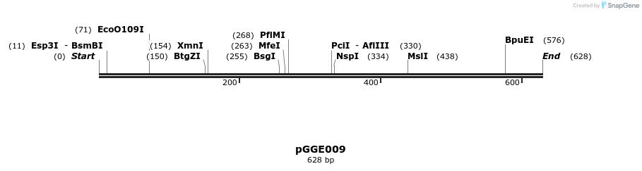 71251_map