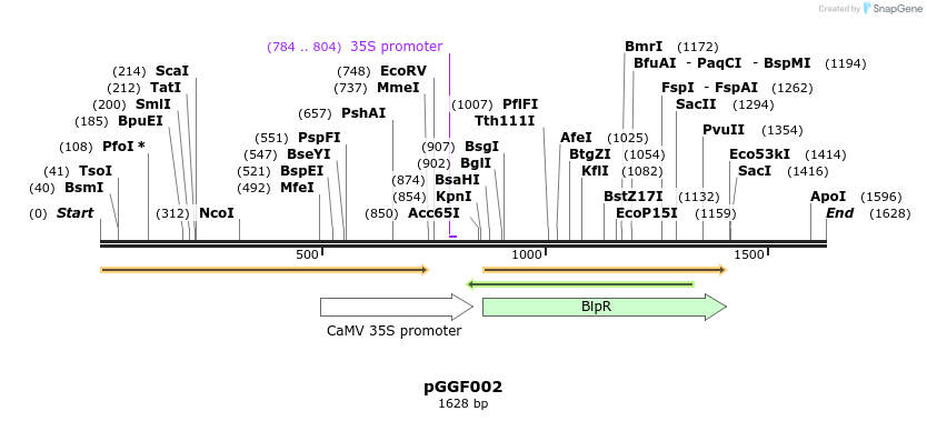 71255_map
