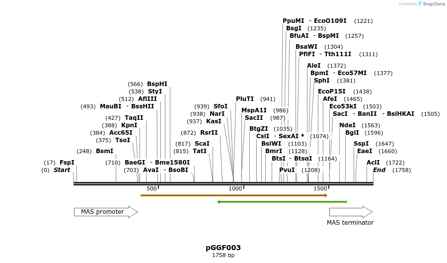 71257_map