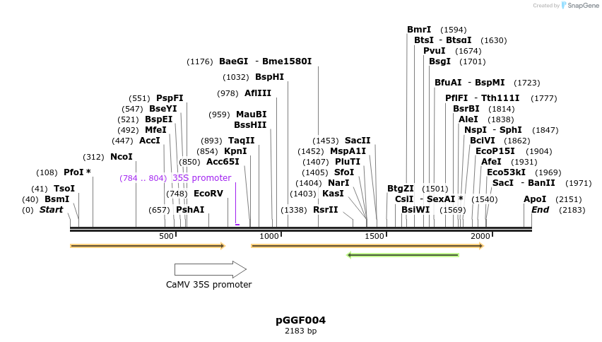 71259_map